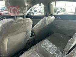 شێری ئەریزۆ 5